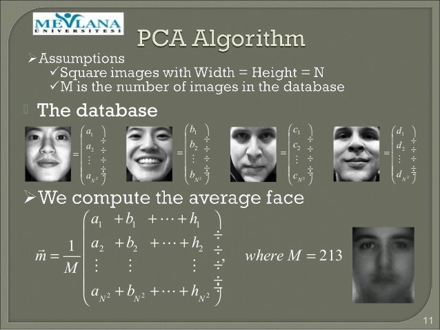 Facial expressions ppt Bikini things pussy